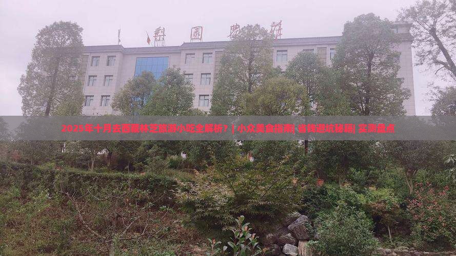 十月去西藏林芝旅游小吃