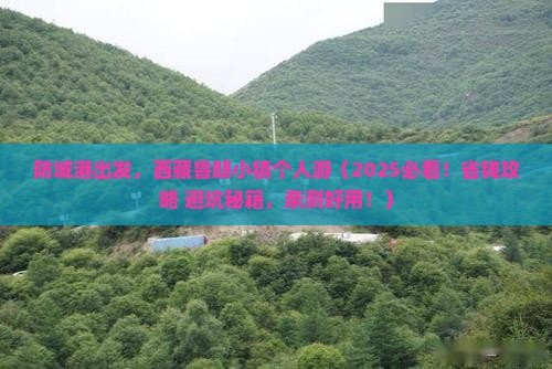 防城港去西藏鲁朗小镇个人游