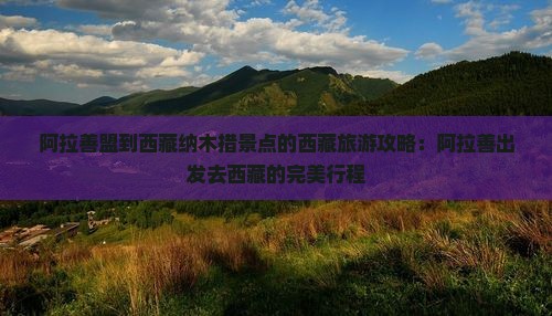 阿拉善盟到西藏纳木措景点