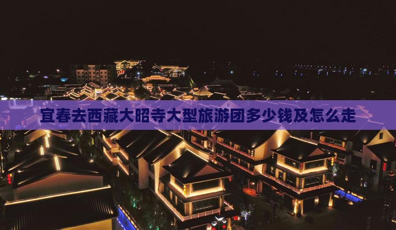宜春去西藏大昭寺大型旅游团