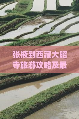 张掖去西藏大昭寺哪里玩