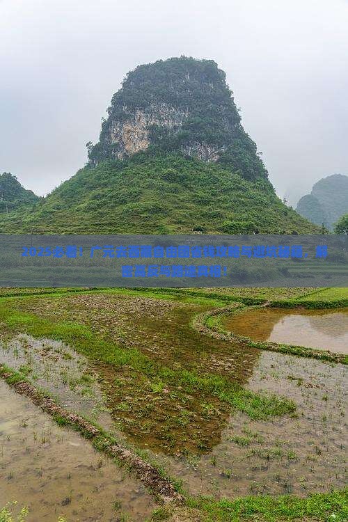 广元去西藏自由团