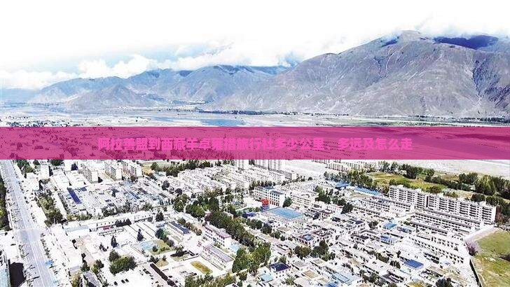 阿拉善盟到西藏羊卓雍措旅行社