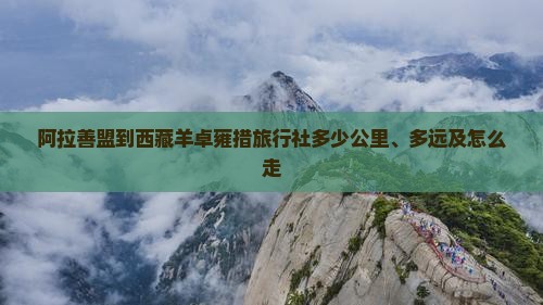 阿拉善盟到西藏羊卓雍措旅行社