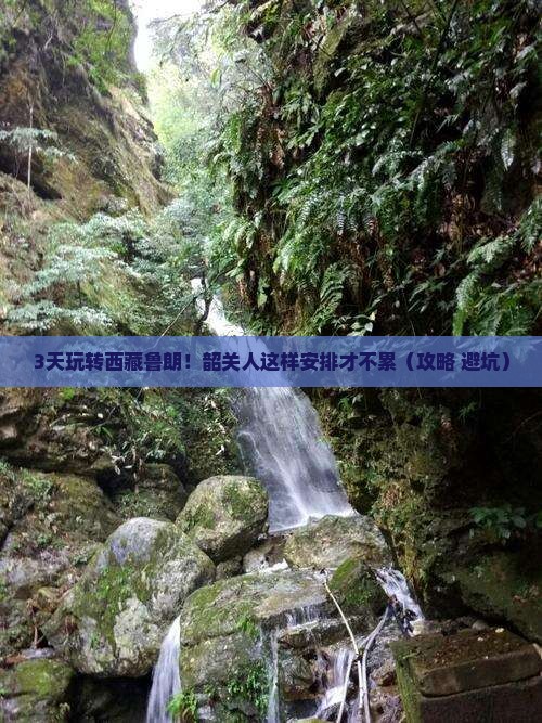 韶关去西藏鲁朗小镇三日游
