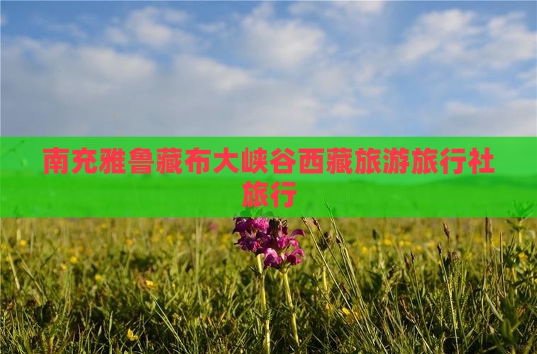 南充去西藏雅鲁藏布大峡谷旅行社