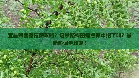 宜昌到西藏拉萨攻略