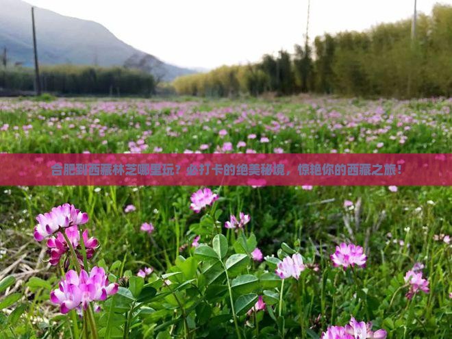 合肥到西藏林芝哪里玩