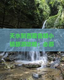 天水到西藏鲁朗小镇景点
