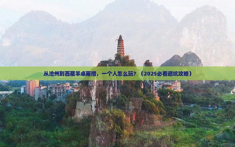 沧州去西藏羊卓雍措个人游