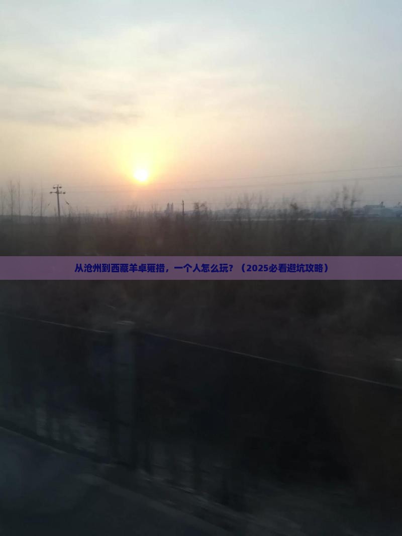 沧州去西藏羊卓雍措个人游