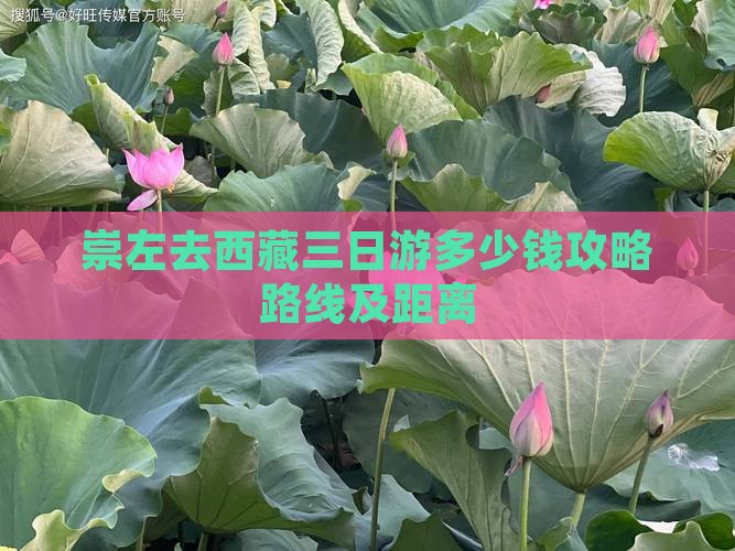 崇左去西藏三日游