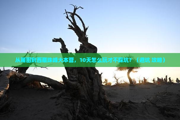 莆田到西藏珠峰大本营旅游
