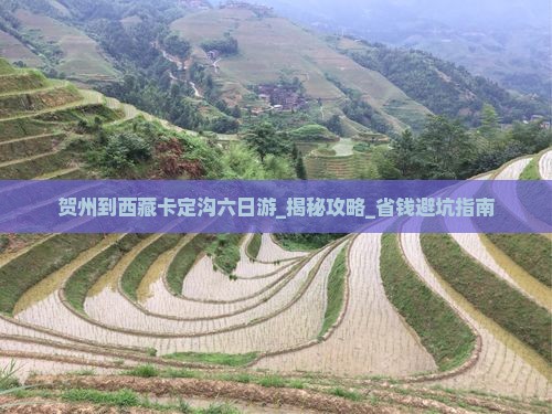 贺州到西藏卡定沟六日游