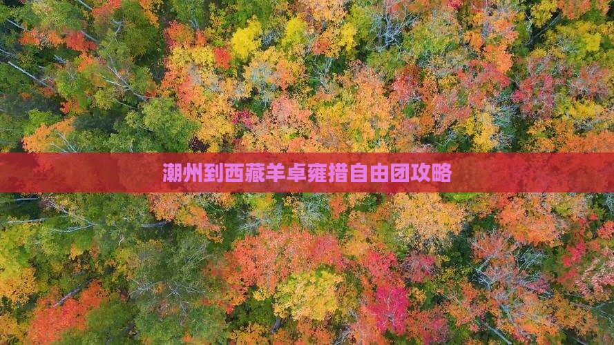 潮州到西藏羊卓雍措自由团
