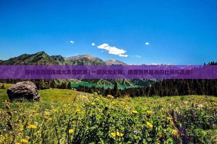 喀什去西藏珠峰大本营旅游