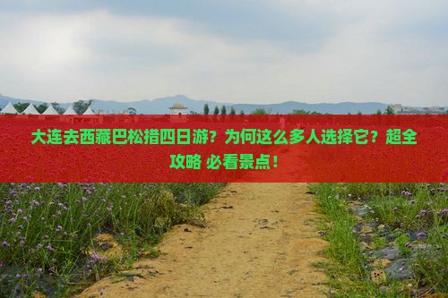 大连去西藏巴松措四日游