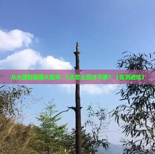大理去西藏大昭寺旅行社