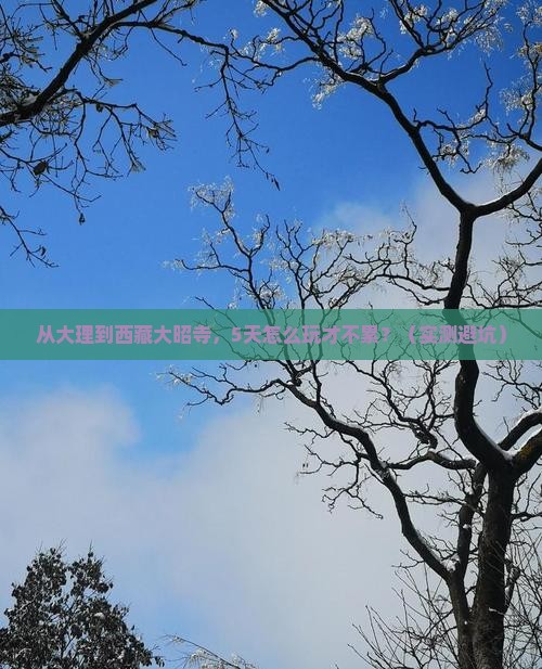 大理去西藏大昭寺旅行社