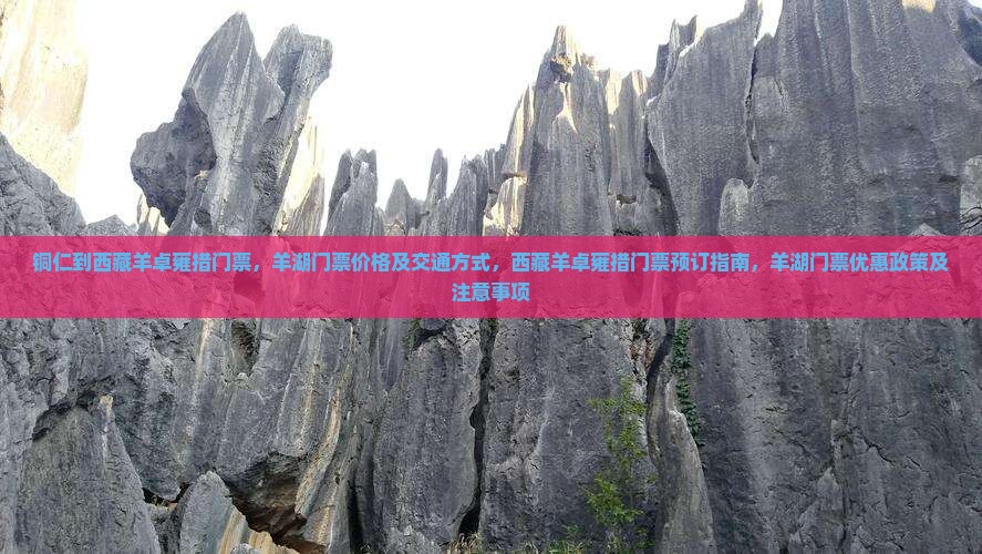 铜仁到西藏羊卓雍措门票