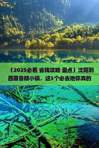 沈阳到西藏鲁朗小镇必去地