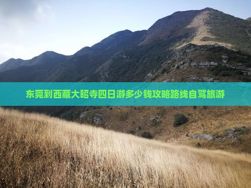 东莞到西藏大昭寺四日游