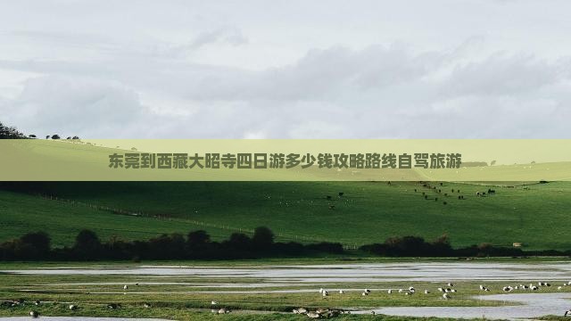东莞到西藏大昭寺四日游