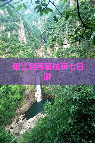 阳江到西藏拉萨七日游