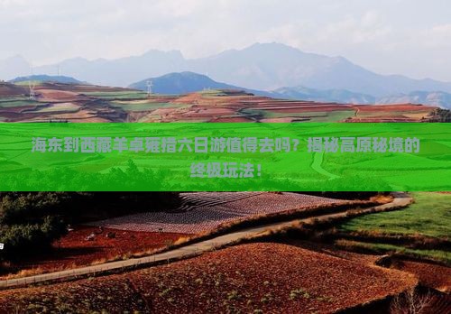 海东到西藏羊卓雍措六日游