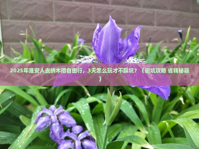 淮安去西藏纳木措自由行