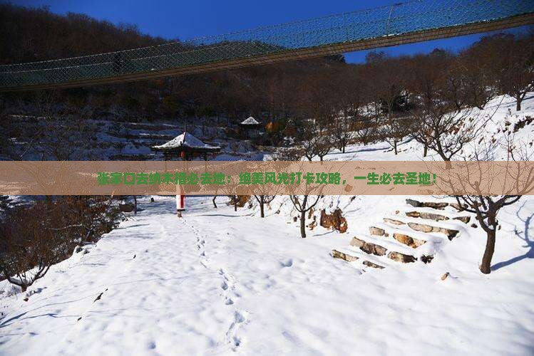 张家口去西藏纳木措必去地