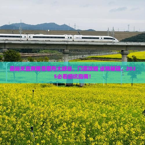 嘉峪关去西藏雅鲁藏布大峡谷门票