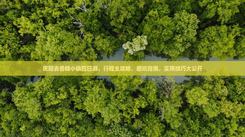 庆阳去西藏鲁朗小镇四日游
