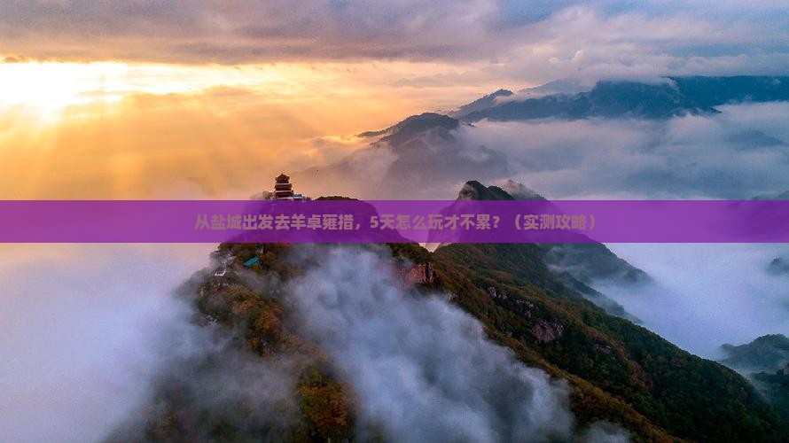 盐城去西藏羊卓雍措旅游