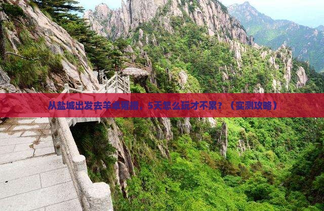 盐城去西藏羊卓雍措旅游