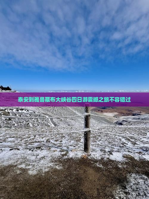 泰安到西藏雅鲁藏布大峡谷四日游