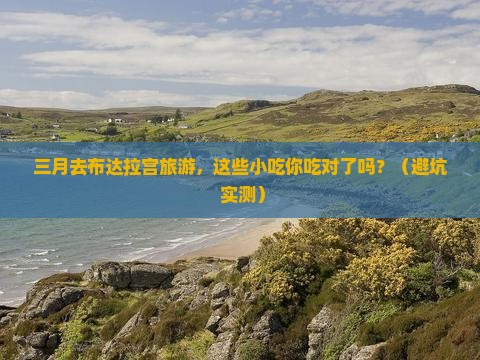 三月到西藏布达拉宫旅游小吃