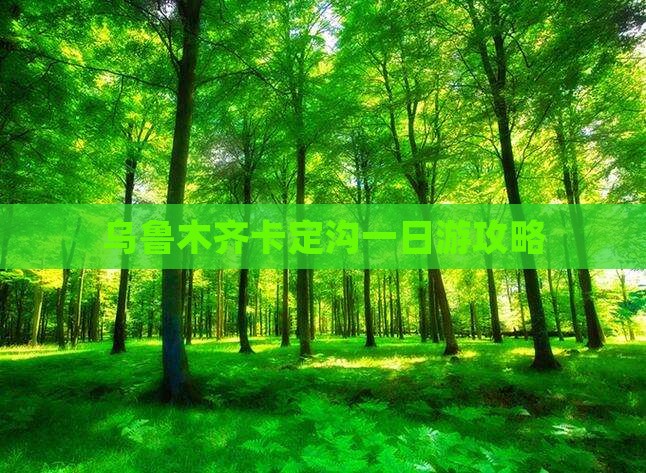 乌鲁木齐去西藏卡定沟一日