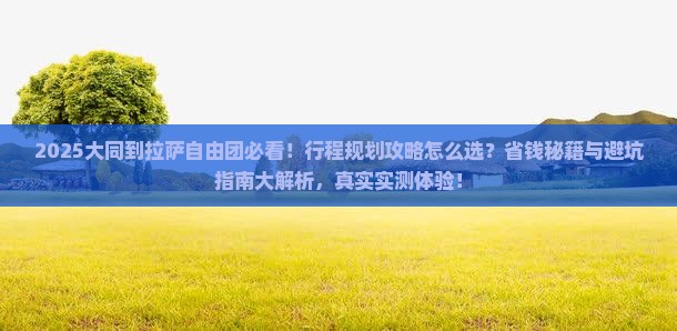 大同到西藏拉萨自由团