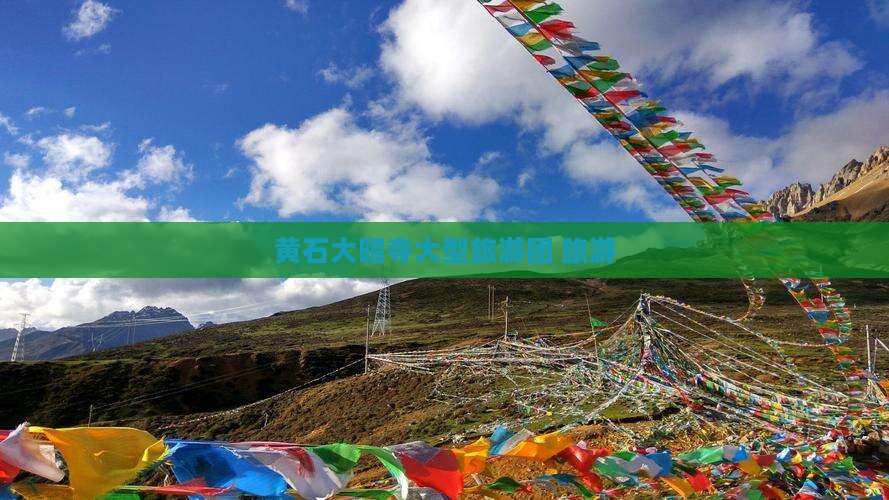 黄石去西藏大昭寺大型旅游团