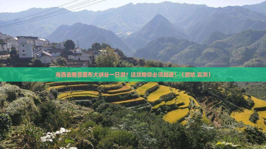 海西去西藏雅鲁藏布大峡谷一日