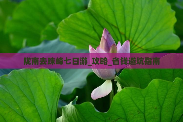 陇南去西藏珠峰大本营七日游