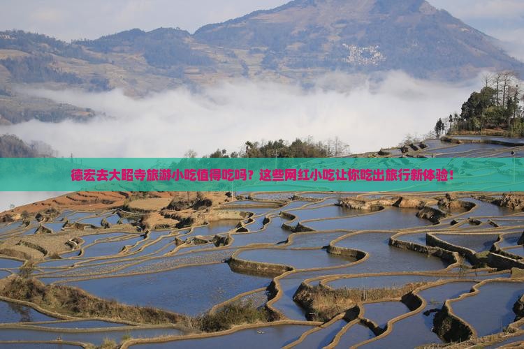 德宏去西藏大昭寺旅游小吃