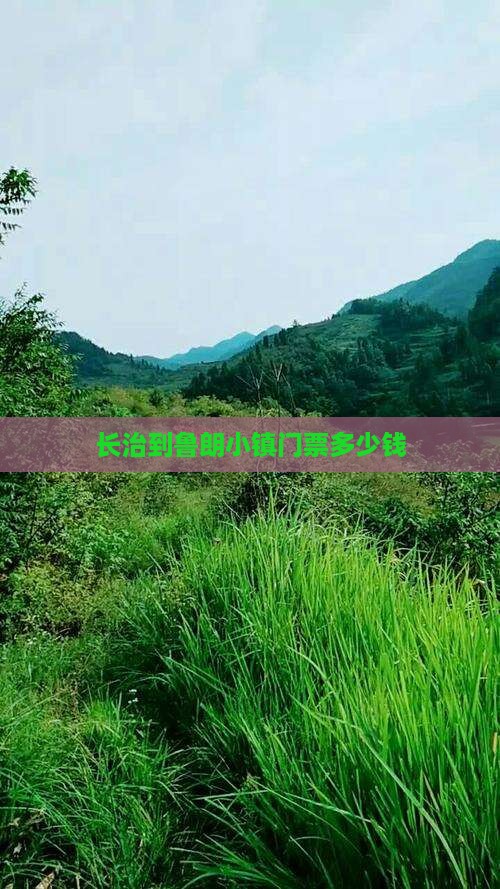 长治到西藏鲁朗小镇门票