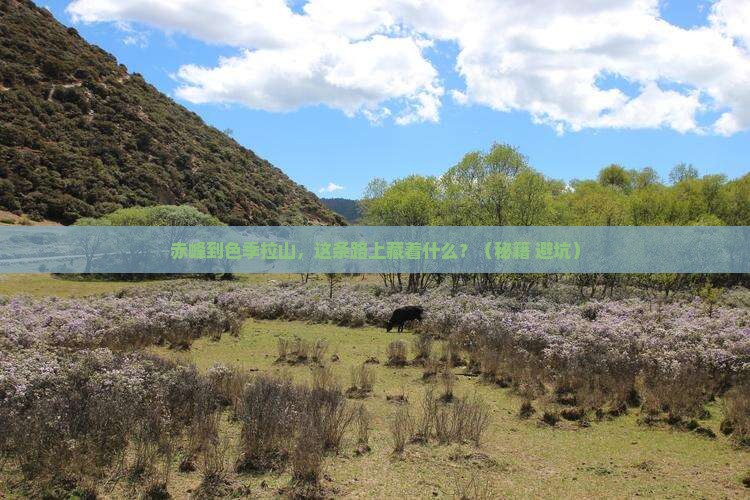 赤峰到西藏色季拉山必去地