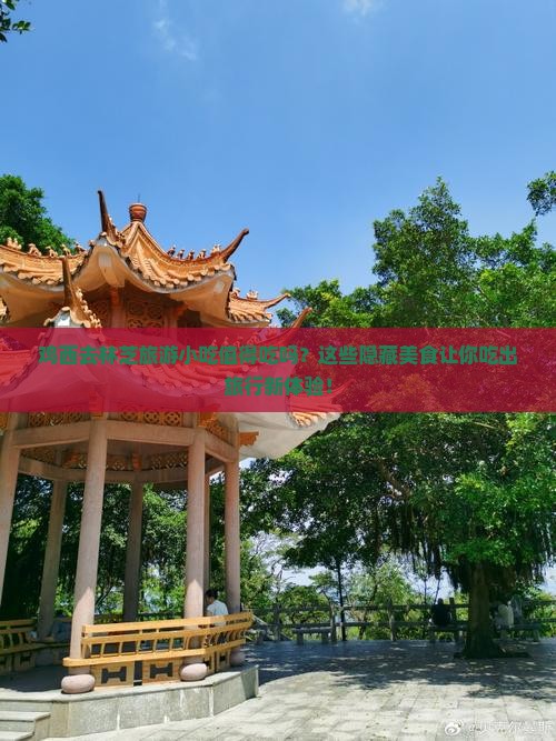 鸡西去西藏林芝旅游小吃