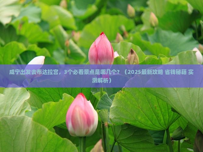 咸宁到西藏布达拉宫哪里玩