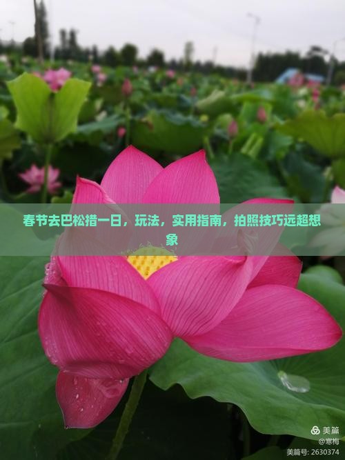 春节去西藏巴松措一日
