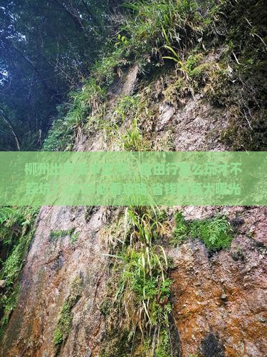 柳州去西藏卡定沟自由行