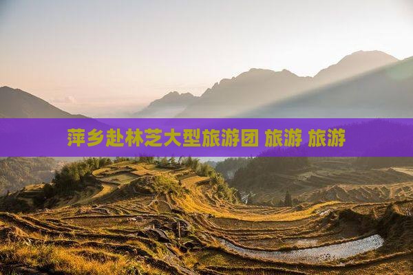 萍乡去西藏林芝大型旅游团